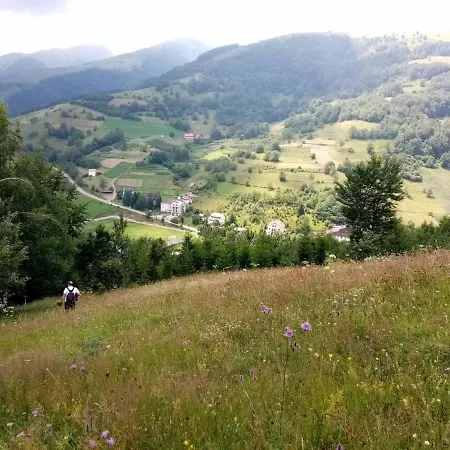 Apartment Kopaonik-gondola 100m Brzece
