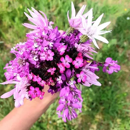 Kopaonik-gondola 100m Brzece