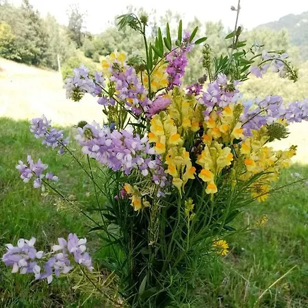 Kopaonik-gondola 100m Brzeće