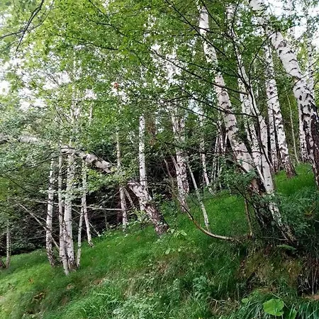 Apartamento Kopaonik-gondola 100m *