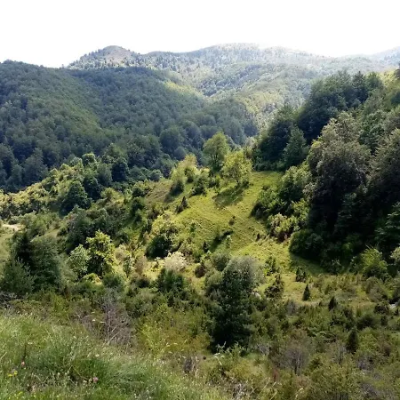 Apartment Kopaonik-gondola 100m Brzece