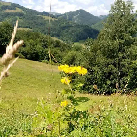 Kopaonik-gondola 100m Apartamento