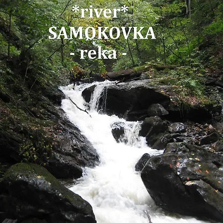 Kopaonik-gondola 100m Brzece