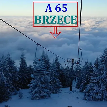 Apartment Kopaonik-gondola 100m