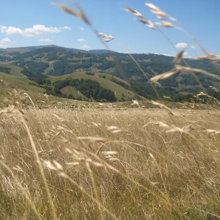 Kopaonik-gondola 100m Brzece