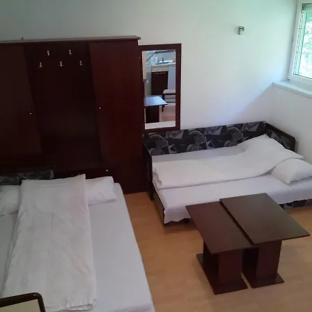 Apartment Kopaonik-gondola 100m Brzece