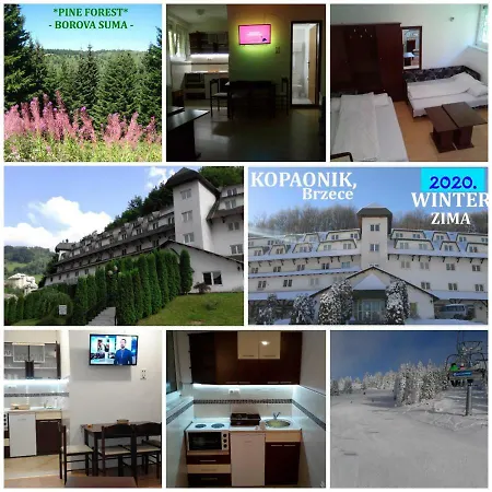 Kopaonik-gondola 100m Apartment Brzece