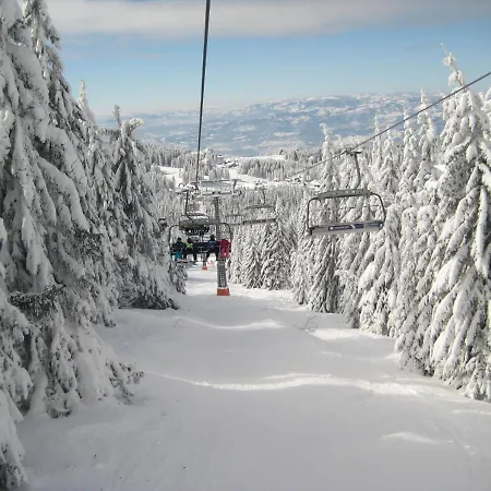 Kopaonik-gondola 100m Apartment Brzece