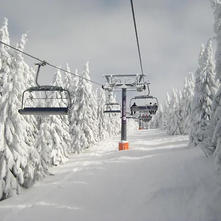 Apartment Kopaonik-gondola 100m