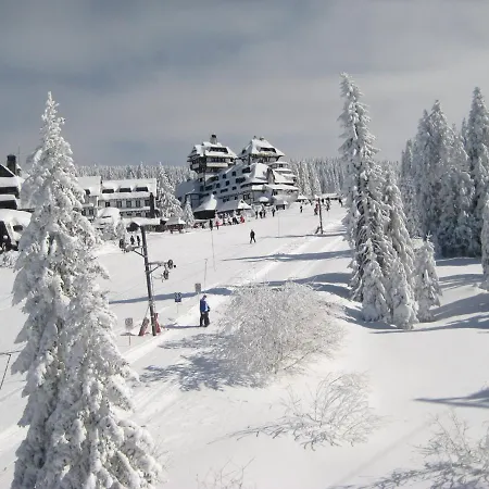 Kopaonik-gondola 100m Apartment Brzece