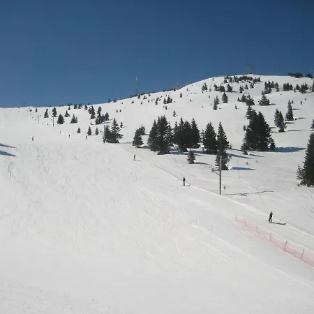 Kopaonik-gondola 100m Brzece