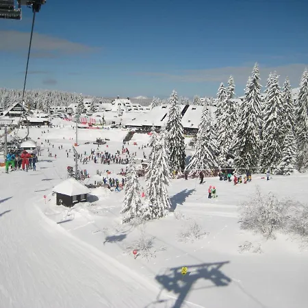 Kopaonik-gondola 100m