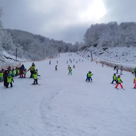 Kopaonik-gondola 100m Brzece