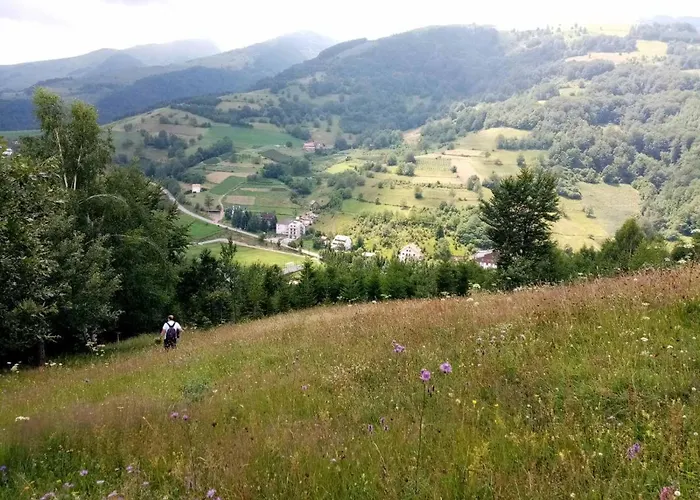 Apartamento Kopaonik-gondola 100m Brzeće