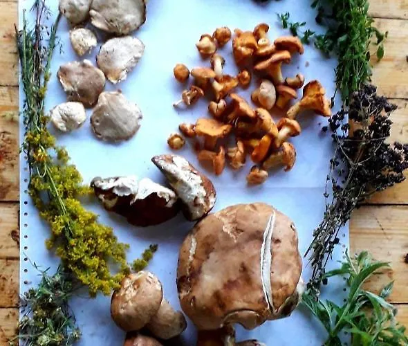 Apartamento Kopaonik-gondola 100m