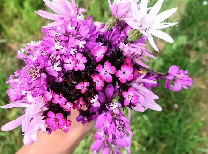 Kopaonik-gondola 100m Brzeće