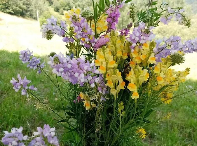 Kopaonik-gondola 100m Brzeće