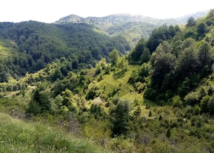 Apartamento Kopaonik-gondola 100m Brzeće