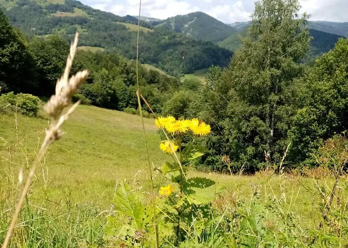 Kopaonik-gondola 100m Apartamento