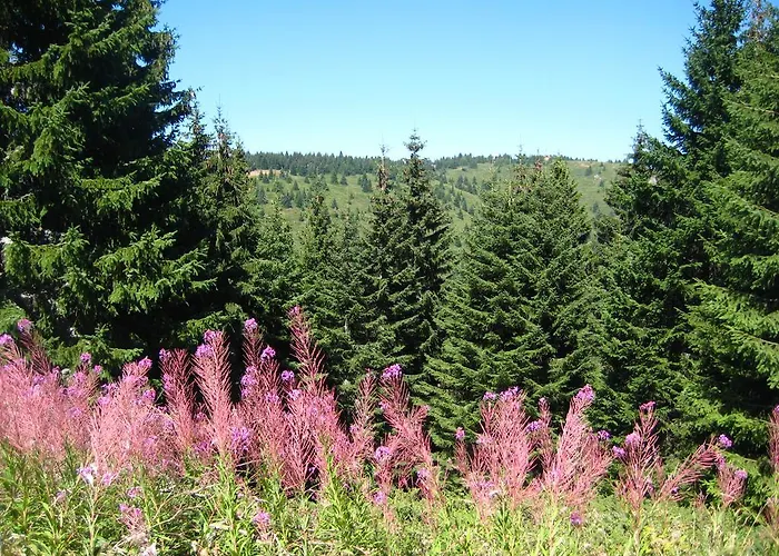 Apartamento Kopaonik-gondola 100m