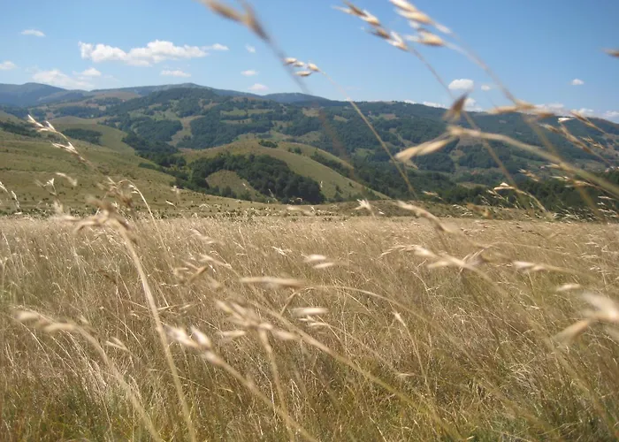 Kopaonik-gondola 100m Brzeće