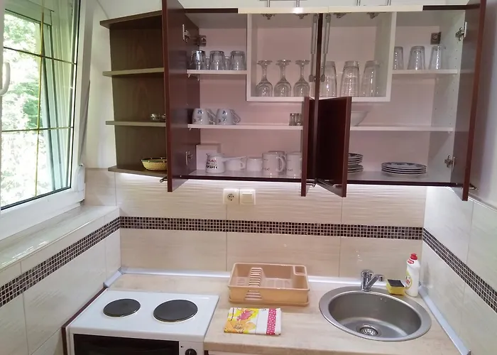 Kopaonik-gondola 100m Apartamento