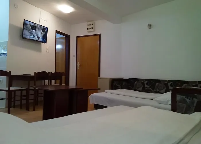 Kopaonik-gondola 100m