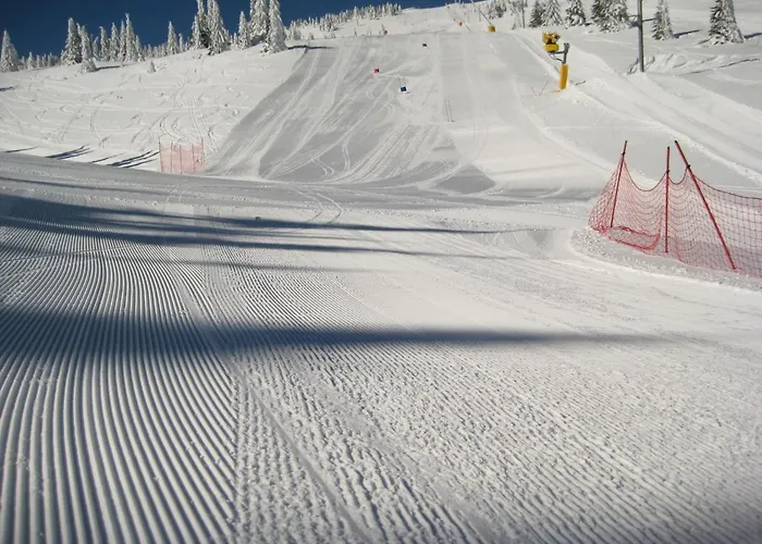 Kopaonik-gondola 100m *
