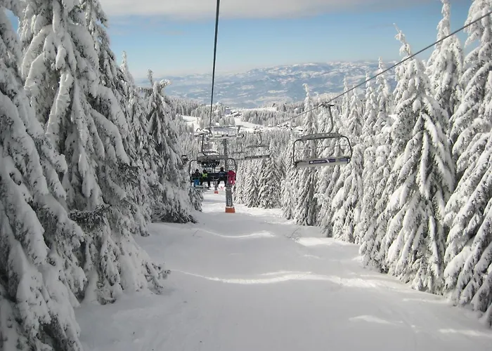 Kopaonik-gondola 100m Apartamento Brzeće