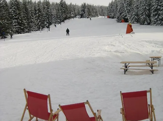 Kopaonik-gondola 100m *