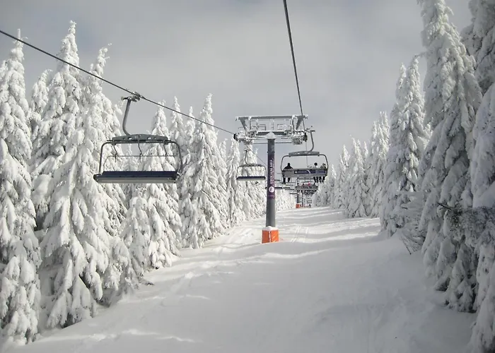 Apartamento Kopaonik-gondola 100m