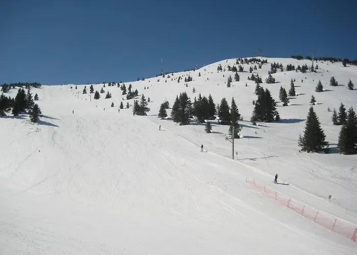 Kopaonik-gondola 100m Brzeće