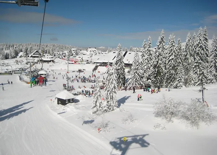 Kopaonik-gondola 100m